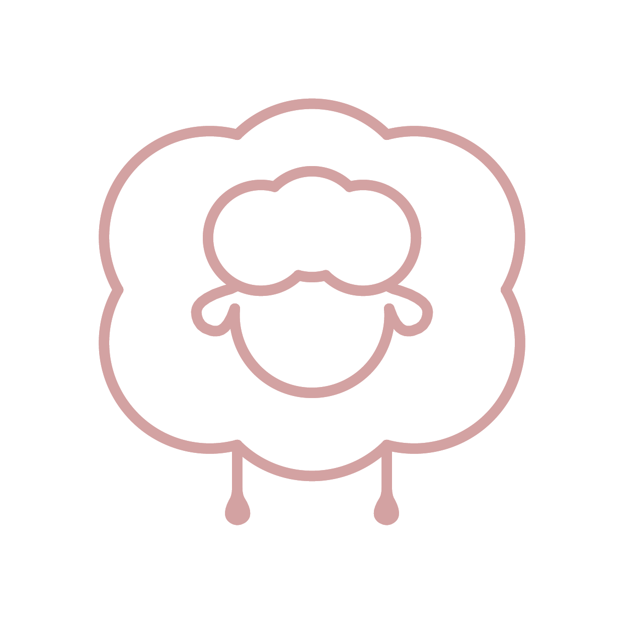 Ovce merino