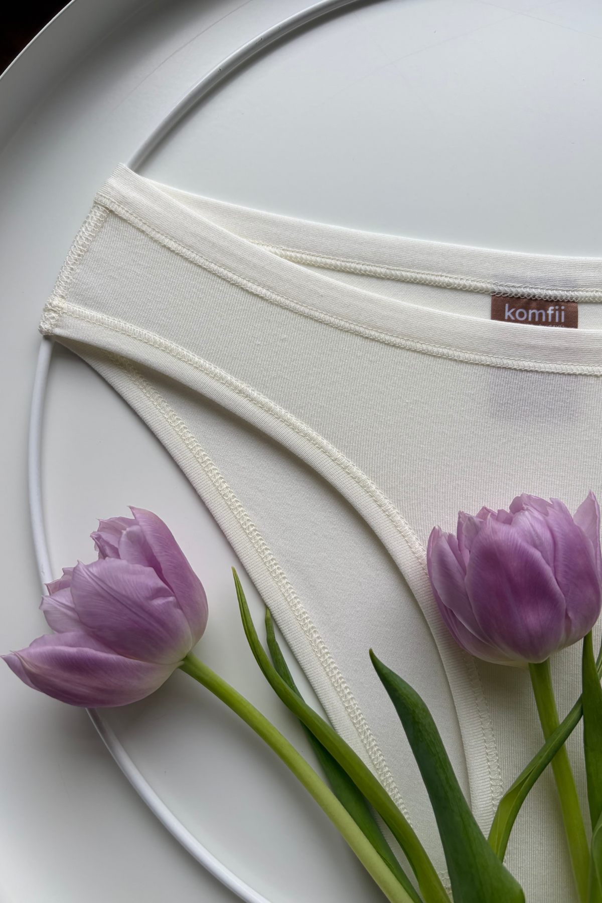 komfii | MODAL & MERINO | bikini briefs by Pavla NT