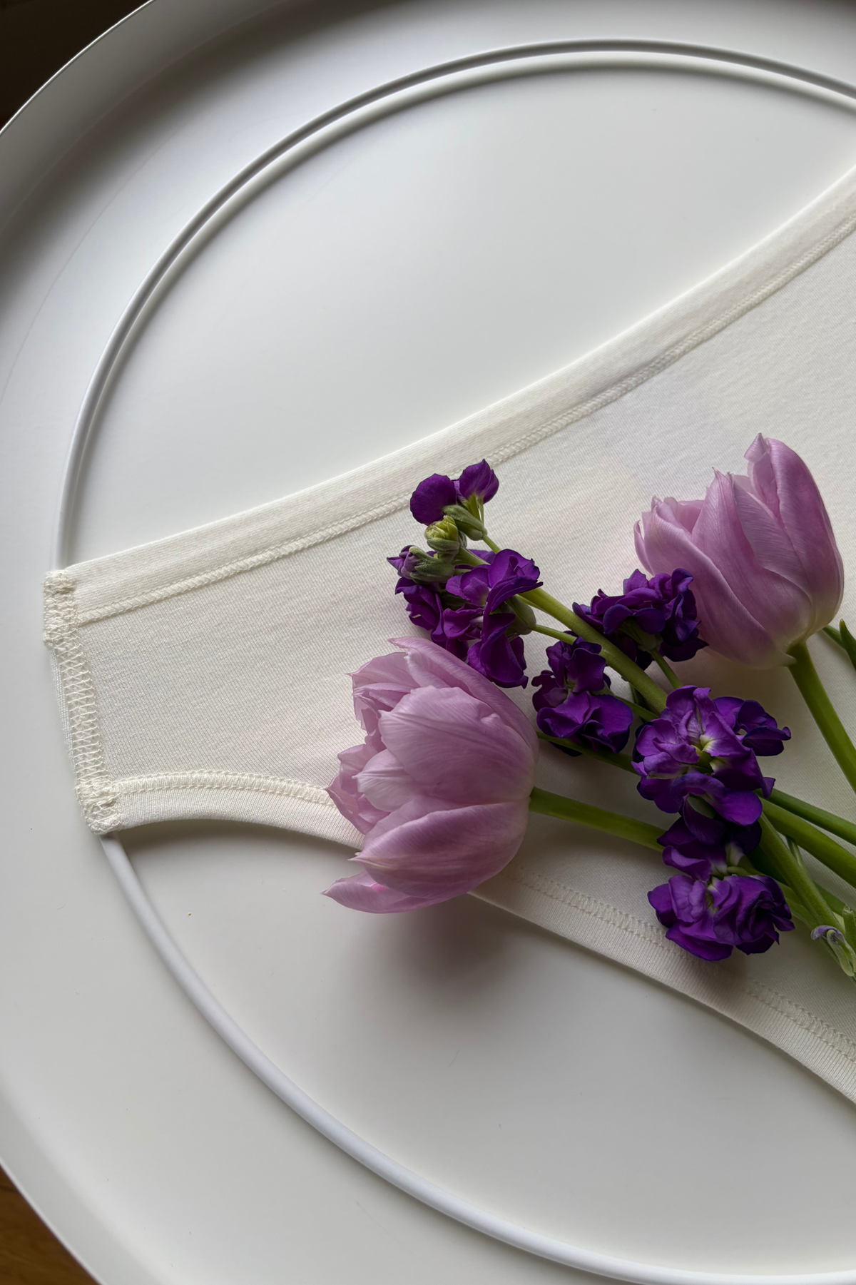 komfii | MODAL & MERINO | bikini briefs by Pavla NT